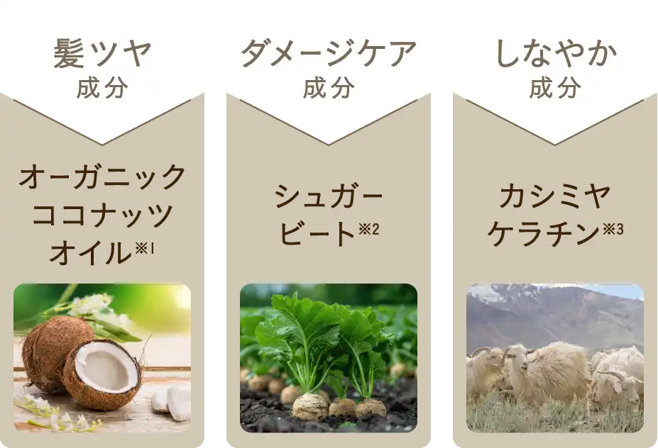 髪ツヤ成分「オーガニックココナッツオイル」、ダメージケア成分「シュガービート」、しなやか成分「カシミヤケラチン」