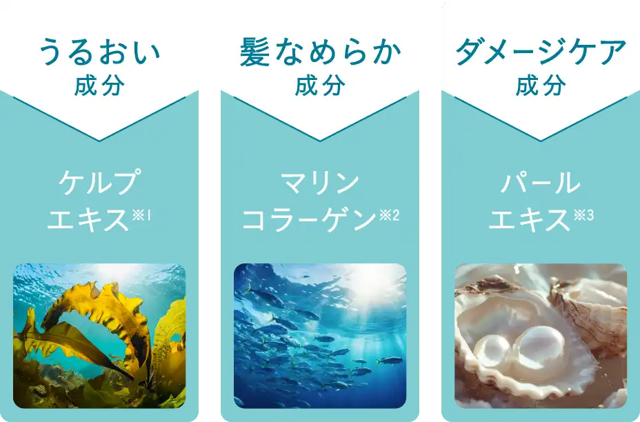 うるおい成分「ケルプエキス」、髪なめらか成分「マリンコラーゲン」、ダメージケア成分「パールエキス」