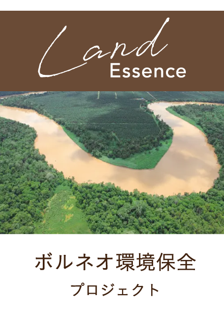 ボルネオ環境保全プロジェクト