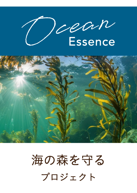 海の森を守るプロジェクト