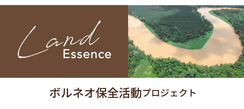 ボルネオ保全環境プロジェクト