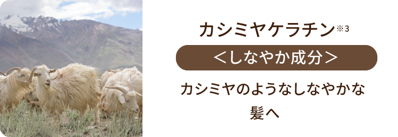 カシミヤケラチン<しなやか成分>カシミヤのようなしなやかな髪へ