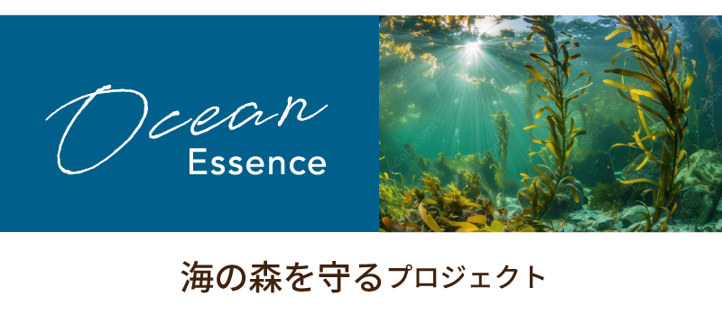 海の森を守るプロジェクト