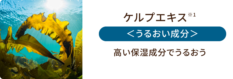 ケルプエキス<うるおい成分>高い保湿成分でうるおう
