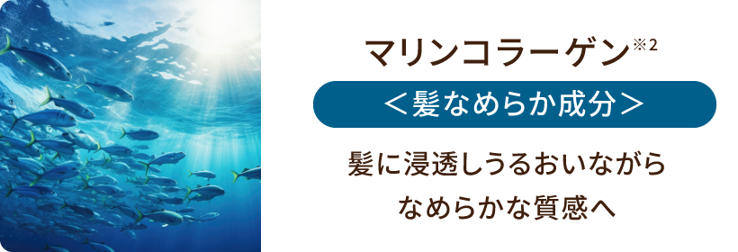 マリンコラーゲン<髪なめらか成分>髪に浸透しうるおいながらなめらかな質感へ